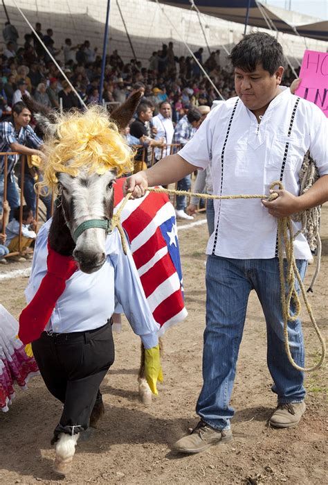 mexico donkey shows|Donkey show .